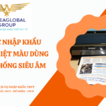 THỦ TỤC NHẬP KHẨU MÁY IN NHIỆT MÀU DÙNG CHO HỆ THỐNG SIÊU ÂM
