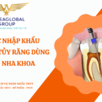 THỦ TỤC NHẬP KHẨU TRÂM LẤY TỦY RĂNG DÙNG TRONG NHA KHOA