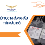 THỦ TỤC NHẬP KHẨU TÚI MÁU ĐÔI
