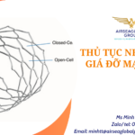 thu tuc nhap khau gia do mach mau