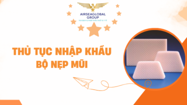 BỘ NẸP MŨI