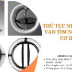 thu tuc nhap khau van tim nhan tao co hoc