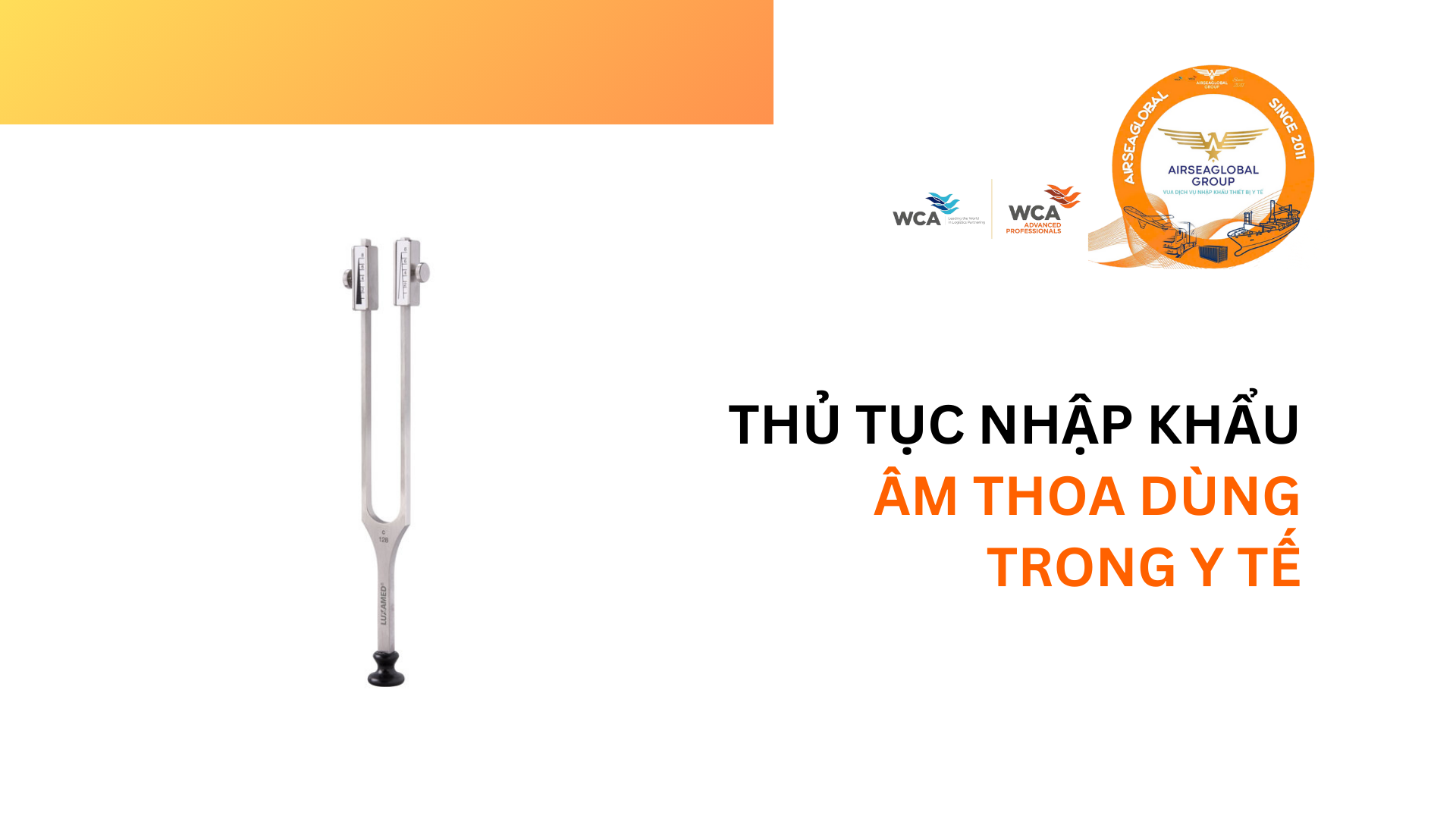 THỦ TỤC NHẬP KHẨU ÂM THOA DÙNG TRONG Y TẾ - Airseaglobal - Vua dịch vụ ...