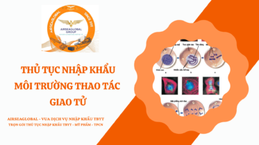 THỦ TỤC NHẬP KHẨU MÔI TRƯỜNG THAO TÁC GIAO TỬ