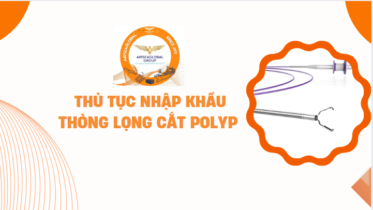 THỦ TỤC NHẬP KHẨU THÒNG LỌNG CẮT POLYP NĂM 2024