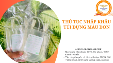 thu tuc nhap khau tui dung mau don
