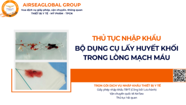 THỦ TỤC NHẬP KHẨU BỘ DỤNG CỤ LẤY HUYẾT KHỐI TRONG LÒNG MẠCH MÁU NĂM NAY