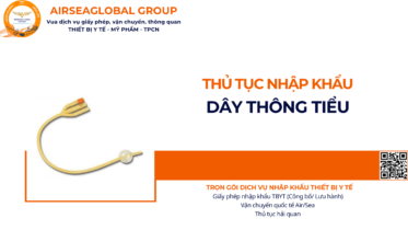 THỦ TỤC NHẬP KHẨU DÂY THÔNG TIỂU NĂM NAY