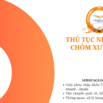 thu tuc nhap khau chom xuong dui