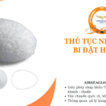 thu tuc nhap khau bi dat hoc mat