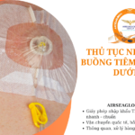 thu tuc nhap khau buong tiem hoa chat duoi da
