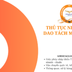 thu tuc nhap khau Dao tach mang cung