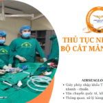 thu tuc nhap khau bo cat mang xo vua