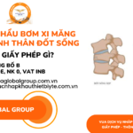 NHẬP KHẨU BƠM XI MĂNG TẠO HÌNH THÂN ĐỐT SỐNG CẦN XIN GIẤY PHÉP GÌ