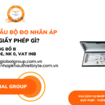 NHẬP KHẨU BỘ ĐO NHÃN ÁP CẦN LÀM GIẤY PHÉP GÌ