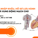 THỦ TỤC NHẬP KHẨU, HỒ SƠ ĐĂNG KÍ LƯU HÀNH BÓNG ĐỐI XUNG ĐỘNG MẠCH CHỦ