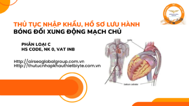 THỦ TỤC NHẬP KHẨU, HỒ SƠ ĐĂNG KÍ LƯU HÀNH BÓNG ĐỐI XUNG ĐỘNG MẠCH CHỦ