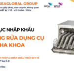THỦ TỤC NHẬP KHẨU MÁY RUNG RỬA DỤNG CỤ NHA KHOA NĂM NAY
