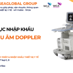THỦ TỤC NHẬP KHẨU MÁY SIÊU ÂM DOPPLER NĂM NAY