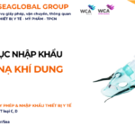 THỦ TỤC NHẬP KHẨU MẶT NẠ KHÍ DUNG NĂM NAY