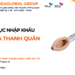 THỦ TỤC NHẬP KHẨU MẶT NẠ KHÍ DUNG NĂM NAY