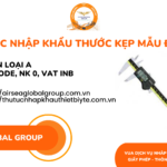 THỦ TỤC NHẬP KHẨU THƯỚC KẸP MẪU ĐIỆN TỬ MỚI NHẤT NĂM NAY