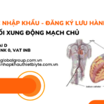 THỦ TỤC NHẬP KHẨU - ĐĂNG KÝ LƯU HÀNH BÓNG ĐỐI XUNG ĐỘNG MẠCH CHỦ