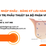 THỦ TỤC NHẬP KHẨU - ĐĂNG KÝ LƯU HÀNH LƯỚI ĐIỀU TRỊ PHẪU THUẬT SA BỘ PHẬN VÙNG CHẬU