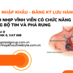THỦ TỤC NHẬP KHẨU - ĐĂNG KÝ LƯU HÀNH MÁY TẠO NHỊP VĨNH VIỄN CÓ CHỨC NĂNG TÁI ĐỒNG BỘ TIM VÀ PHÁ RUNG