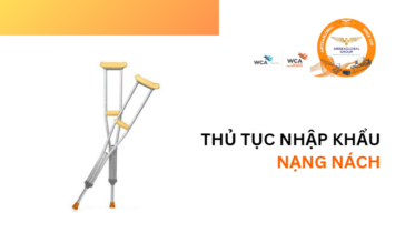 THỦ TỤC NHẬP KHẨU NẠNG NÁCH