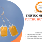 thu tuc nhap khau tui thu huyet tuong