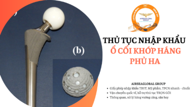thu tuc nhap khau o coi khop hang phu ha