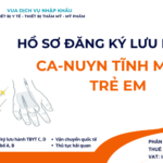 HỒ SƠ ĐĂNG KÝ LƯU HÀNH CA-NUYN TĨNH MẠCH TRẺ EM