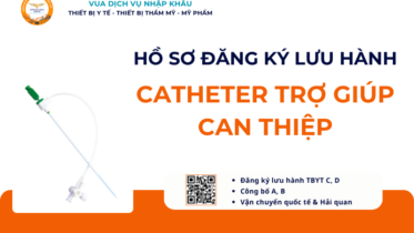 HỒ SƠ ĐĂNG KÝ LƯU HÀNH CATHETER TRỢ GIÚP CAN THIỆP