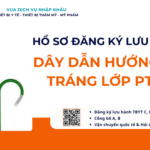 HỒ SƠ ĐĂNG KÝ LƯU HÀNH DÂY DẪN HƯỚNG CÓ TRÁNG LỚP PTFE