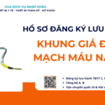HỒ SƠ ĐĂNG KÝ LƯU HÀNH KHUNG GIÁ ĐỠ MẠCH MÁU NÃO