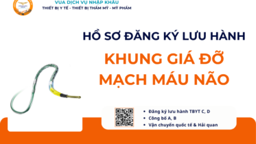 HỒ SƠ ĐĂNG KÝ LƯU HÀNH KHUNG GIÁ ĐỠ MẠCH MÁU NÃO