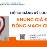 HỒ SƠ ĐĂNG KÝ LƯU HÀNH KHUNG GIÁ ĐỠ ĐỘNG MẠCH CHẬU
