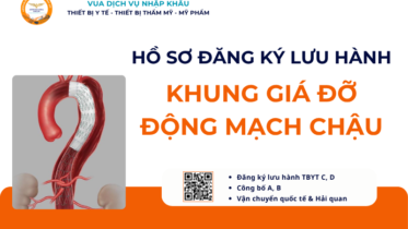 HỒ SƠ ĐĂNG KÝ LƯU HÀNH KHUNG GIÁ ĐỠ ĐỘNG MẠCH CHẬU