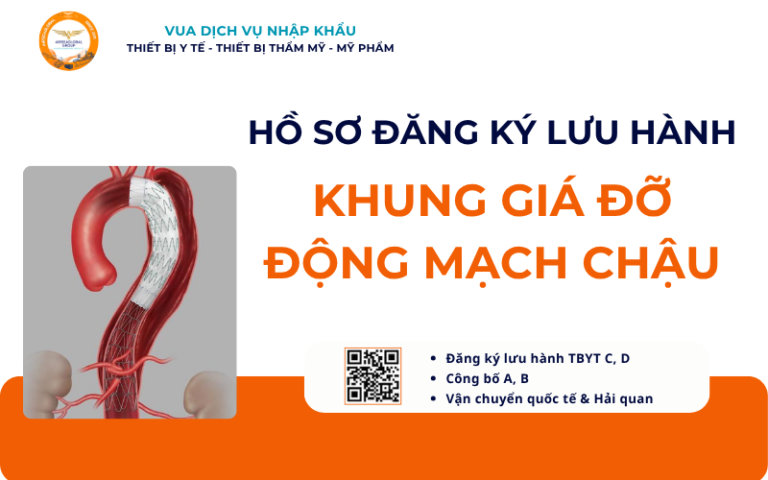 HỒ SƠ ĐĂNG KÝ LƯU HÀNH KHUNG GIÁ ĐỠ ĐỘNG MẠCH CHẬU