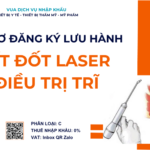 HỒ SƠ ĐĂNG KÝ LƯU HÀNH KÍT ĐỐT LASER ĐIỀU TRỊ TRĨ