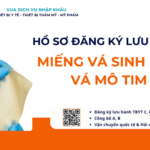 HỒ SƠ ĐĂNG KÝ LƯU HÀNH MIẾNG VÁ SINH HỌC VÁ MÔ TIM, MẠCH MÁU, MÀNG CỨNG VÀ MÔ MỀM