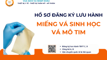 HỒ SƠ ĐĂNG KÝ LƯU HÀNH MIẾNG VÁ SINH HỌC VÁ MÔ TIM, MẠCH MÁU, MÀNG CỨNG VÀ MÔ MỀM