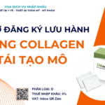 HỒ SƠ ĐĂNG KÝ LƯU HÀNH MÀNG COLLAGEN TÁI TẠO MÔ