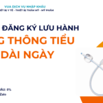 HỒ SƠ ĐĂNG KÝ LƯU HÀNH ỐNG THÔNG TIỂU DÀI NGÀY