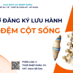 HỒ SƠ ĐĂNG KÝ LƯU HÀNH ĐĨA ĐỆM CỘT SỐNG