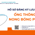 HỒ SƠ ĐĂNG KÝ LƯU HÀNH ỐNG THÔNG NONG BÓNG PTCA