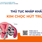 THỦ TỤC NHẬP KHẨU KIM CHỌC HÚT TRỨNG