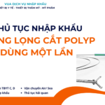 THỦ TỤC NHẬP KHẨU THÒNG LỌNG CẮT POLYP DÙNG MỘT LẦN
