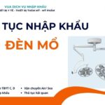 THỦ TỤC NHẬP KHẨU ĐÈN MỔ